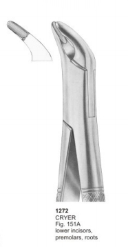  CRYER Fig. 151A lower incisors, premolars, roots 